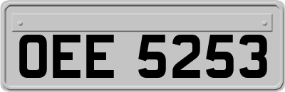 OEE5253
