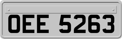 OEE5263