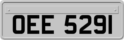 OEE5291
