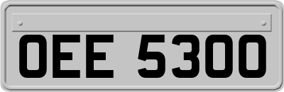 OEE5300