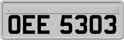 OEE5303