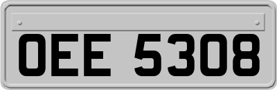 OEE5308