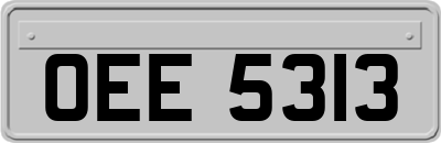 OEE5313