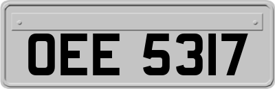 OEE5317