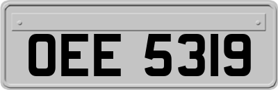 OEE5319