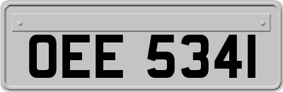 OEE5341