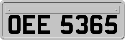 OEE5365