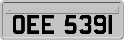 OEE5391