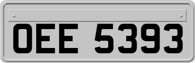 OEE5393