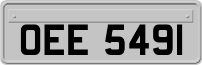 OEE5491
