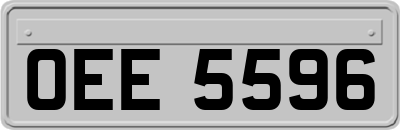 OEE5596