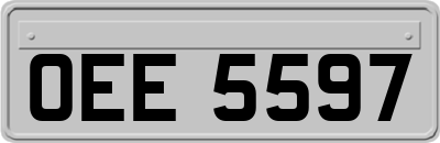 OEE5597