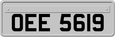 OEE5619