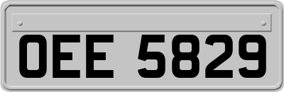 OEE5829