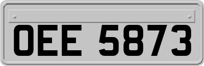 OEE5873