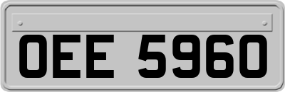 OEE5960