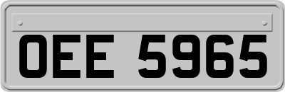 OEE5965