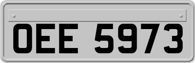 OEE5973