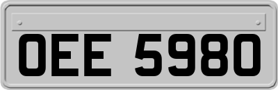 OEE5980