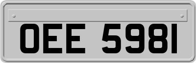 OEE5981