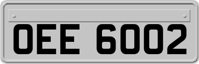 OEE6002