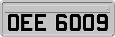 OEE6009