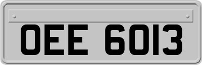 OEE6013