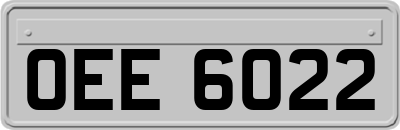 OEE6022