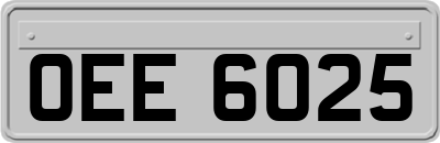 OEE6025