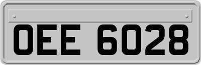 OEE6028