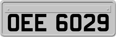 OEE6029