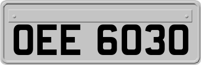 OEE6030