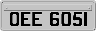 OEE6051