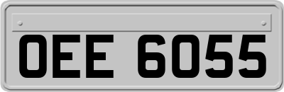 OEE6055
