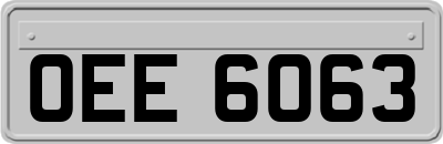 OEE6063