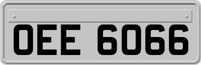 OEE6066