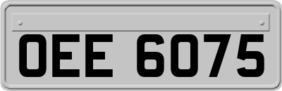 OEE6075