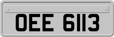 OEE6113