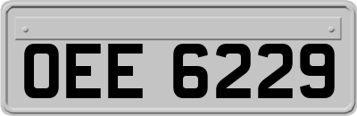 OEE6229