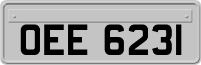 OEE6231