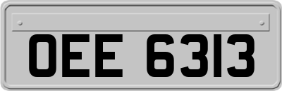 OEE6313