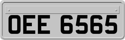 OEE6565