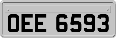 OEE6593