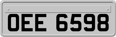 OEE6598