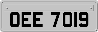 OEE7019