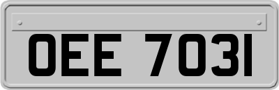 OEE7031