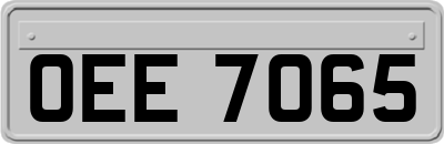 OEE7065