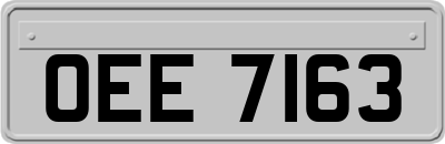 OEE7163