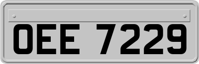 OEE7229