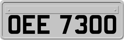 OEE7300